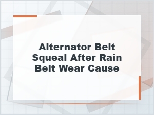 Why Your Alternator Belt Squeals After Rain